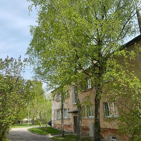 Quiet And Peaceful Apartment Close To The City Center Riga Eksteriør billede