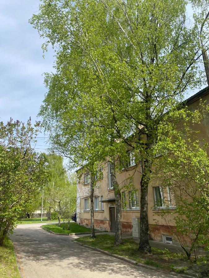 Quiet And Peaceful Apartment Close To The City Center Riga Eksteriør billede